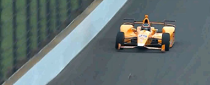 Copertina di Indianapolis, alla 500 miglia Alonso becca due uccelli. L’insolito scontro del pilota