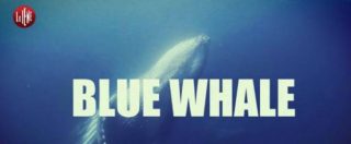 Copertina di Blue Whale e suicidi: prevenire si può, ma occorre ‘ammalare’