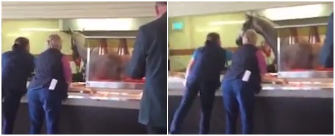 Copertina di Che muso lungo! Quando l’avventore del caffè non è quello che ti aspetti