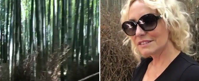 Copertina di Le riflessioni di Antonella Clerici nella foresta di bambù: “Sono l’unica bionda e tettona, ma nessuno mi guarda”