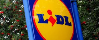 Copertina di Mafia, commissariati 200 supermercati Lidl e vigilantes del tribunale: 14 arresti. “Sapevano bene chi corrompere”