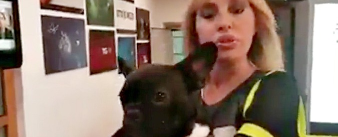 Copertina di Animalisti in politica, Alessandra Mussolini: “Il cane? Candidato per l’Italia centrale. I sorci me li cura la Raggi”