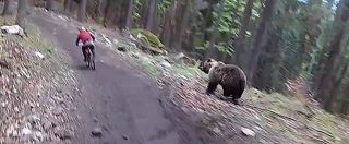 Copertina di Downhill, se c’è l’orso lo sport è ancora più estremo. Questi ciclisti se la vedono brutta