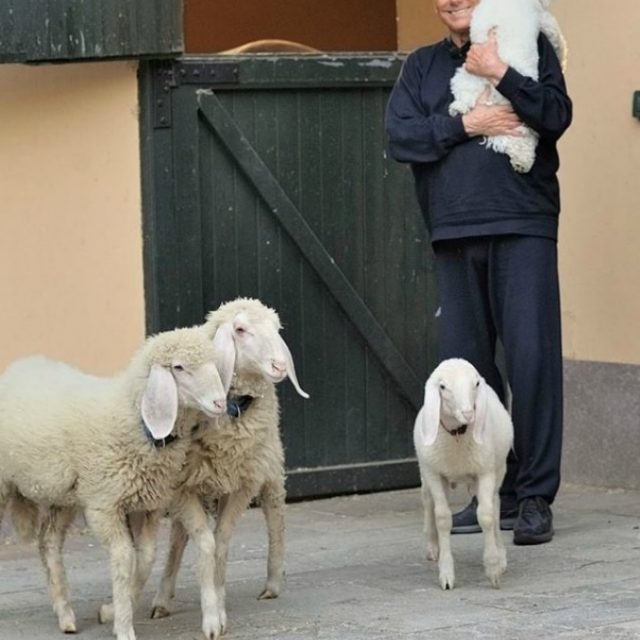 Silvio Berlusconi ospite di Dalla Parte degli Animali, circondato da cani e agnellini: “Sanno amare e essere amici che non si separano mai da noi”