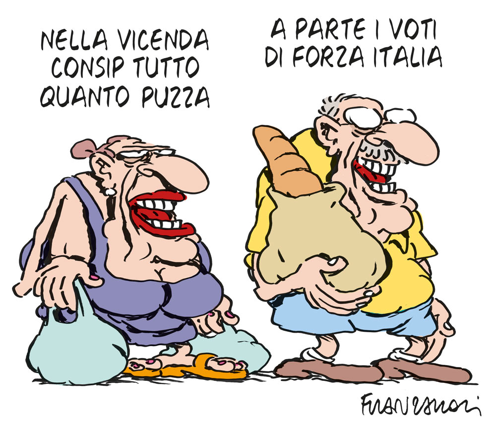 Copertina di La vignetta di Franzaroli