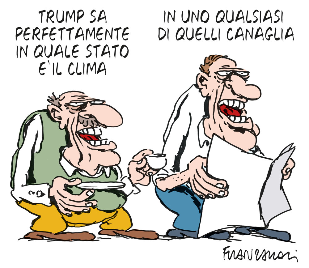 Copertina di La vignetta di Franzaroli