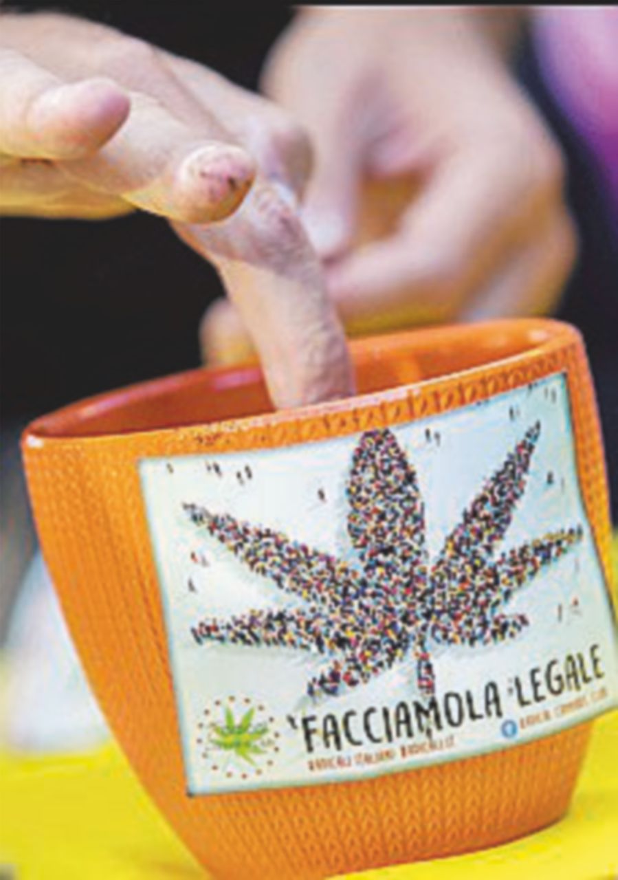 Roma, i radicali fanno il corso di coltivazione della cannabis Roma, i radicali fanno il corso di coltivazione della cannabis