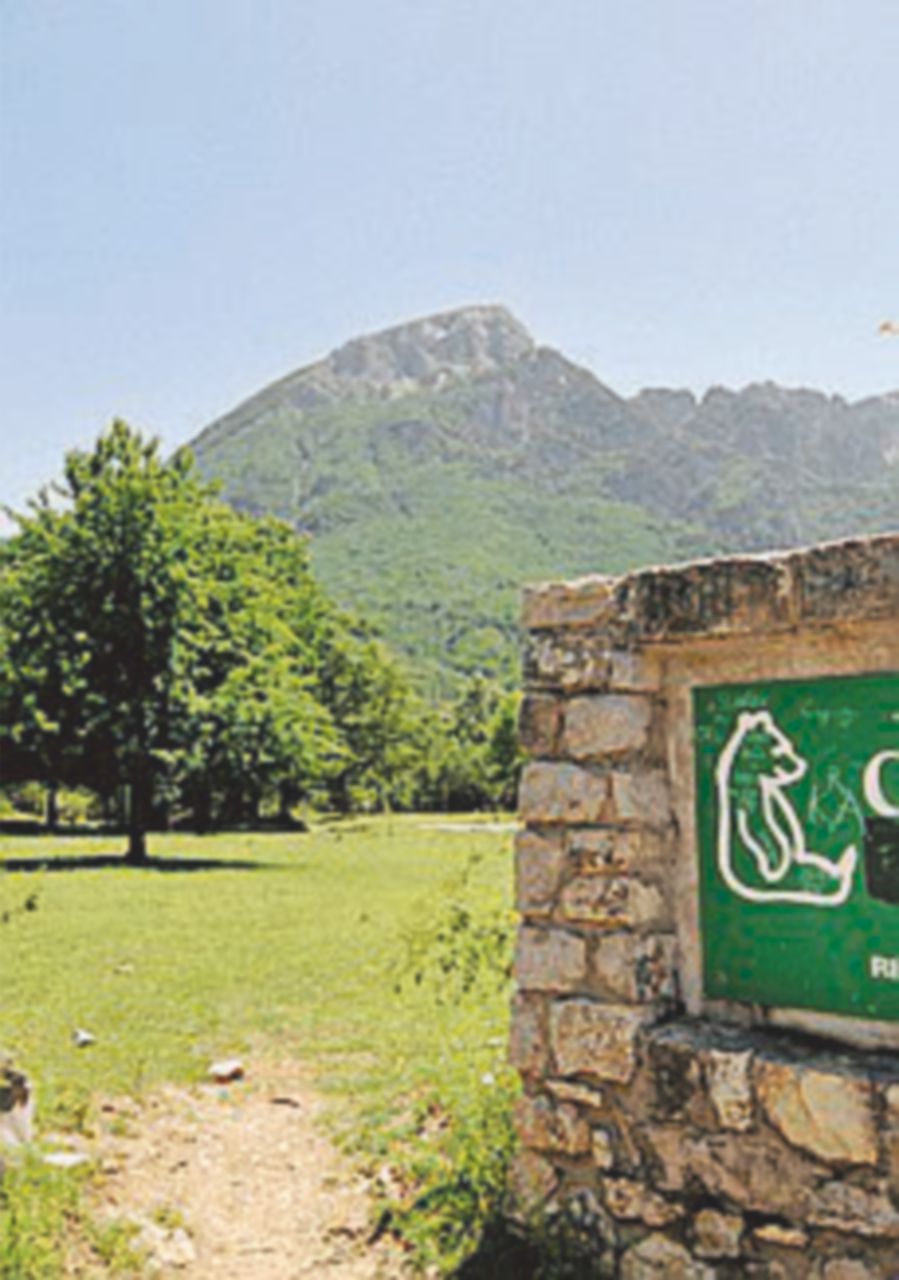 Ambientalisti: no a riforma, biodiversità e territorio in pericolo Ambientalisti: no a riforma, biodiversità e territorio in pericolo