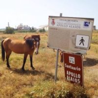 Cavalli accanto al cartello d’ingresso