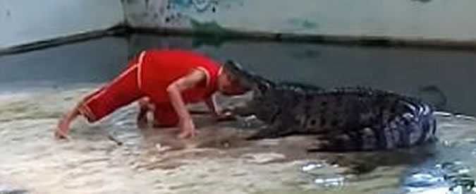 Copertina di A Crocodile Dundee non sarebbe mai successo, ma questo domatore se la vede proprio brutta