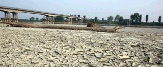 Emergenza siccità: tecnici sotto scorta in Irpinia, il Po ridotto a 13 centimetri e le capre pascolano nel lago di Bracciano