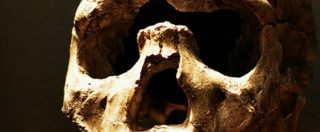 Copertina di Homo Sapiens, scoperti fossili più antichi: ha 100mila anni in più di quello che si ipotizzava