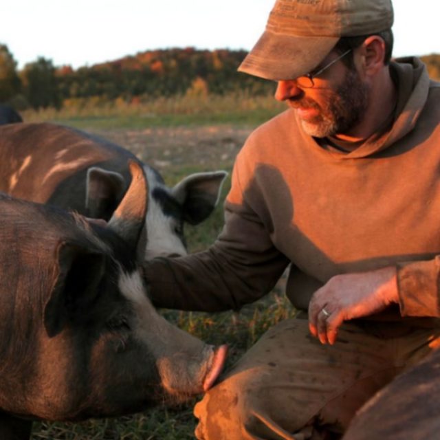 The Last Pig, storia di un allevatore di maiali pentito