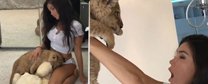 Copertina di Fake o realtà? Ecco la bella Sveta alle prese con Simba il leone… e non è un porno