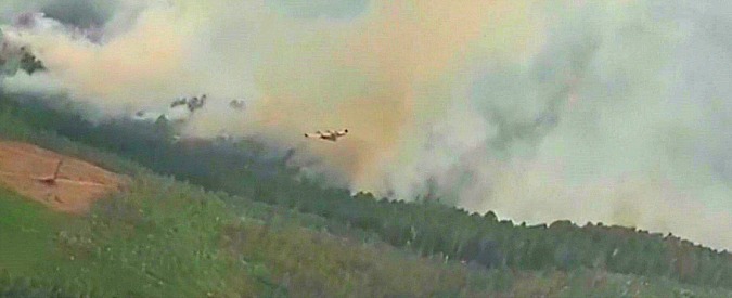Copertina di Portogallo, incendi non danno tregua: nuovo grande rogo a 20 km da Pedrogao Grande