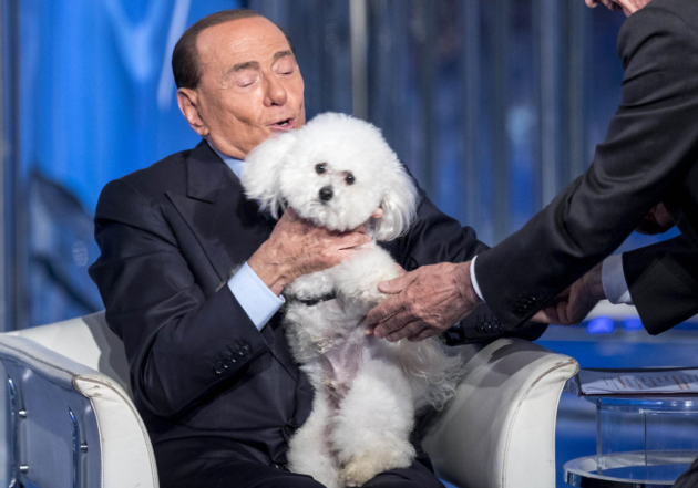 Porta a Porta - Silvio Berlusconi alle prese con la controfigura di Dudù (che disdegna le coccole del Noé di Arcore)