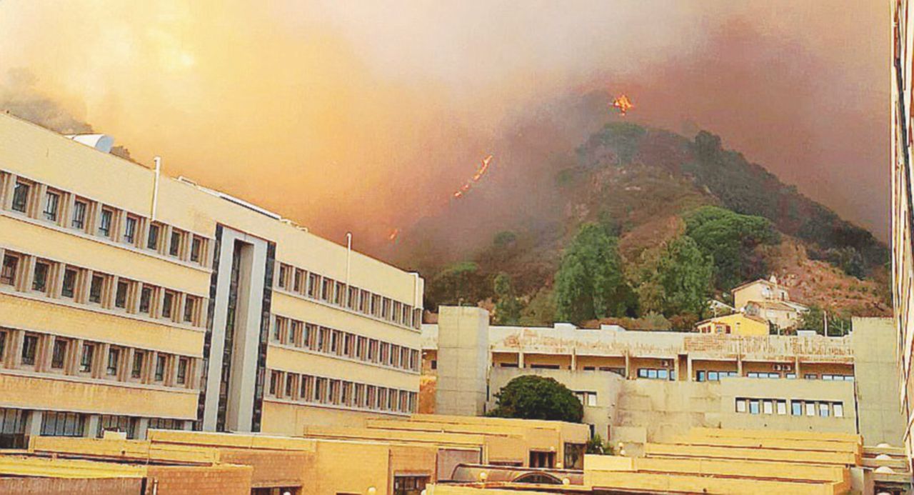 Copertina di In Sicilia è panico anche in spiaggia