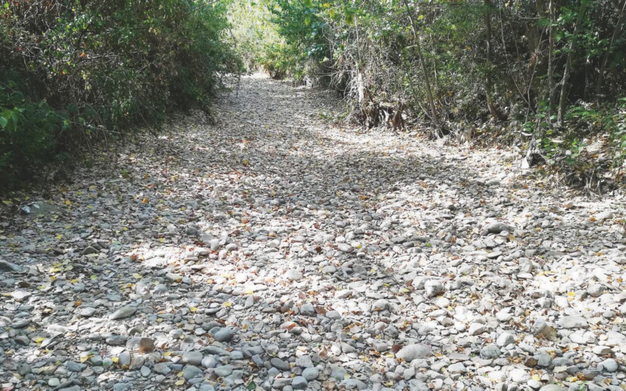 Copertina di Siccità, l’allarme inascoltato e i fondi con il contagocce