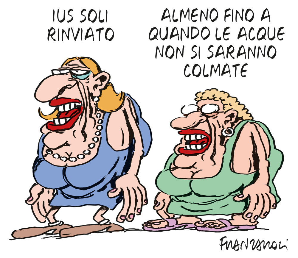 Copertina di La vignetta di Franzaroli