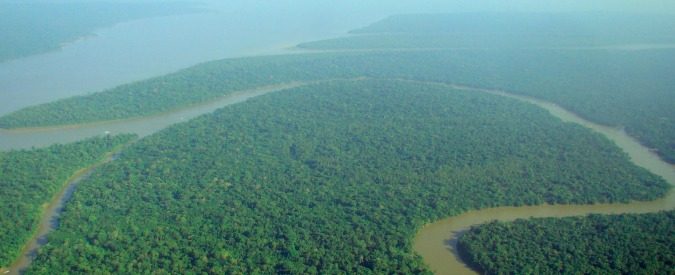 Amazzonia, come il governo brasiliano sta alimentando la deforestazione