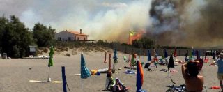 Copertina di Incendi nel centro Italia. A Capalbio evacuati un campeggio uno stabilimento balneare