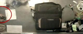 Copertina di Fiumicino, rubavano tablet, smartphone e soldi dai bagagli smarriti. Due lavoratori incastrati dalle telecamere