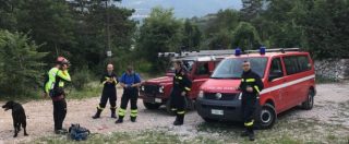 Copertina di Trentino, un uomo ferito da un orso. Vertice sulla sicurezza: “Rimuovere gli esemplari pericolosi”