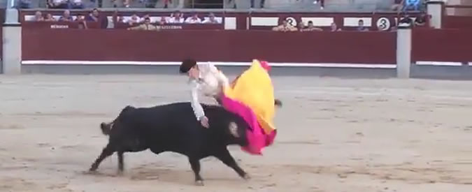 Copertina di Il toro è una vera furia e l’incornata colpisce questo torero proprio dove fa più male