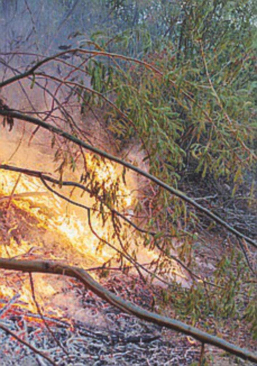 Roma assediata da incendi e piromani: chiusa anche la A24 Roma assediata da incendi e piromani: chiusa anche la A24