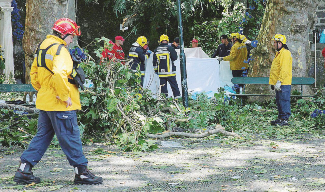 Tragedia annunciata - Vigili del fuoco a Funchal sul luogo dell’incidente - Reuters L’oltraggio all’ambiente e la nemesi dell’albero