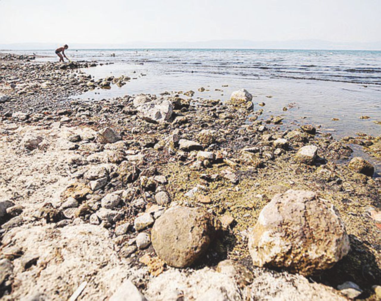 A riva - gli effetti della siccità - Ansa Bracciano, non c’è pace per il lago: venti indagati per prelievi idrici illegali, scontro Pd-M5S