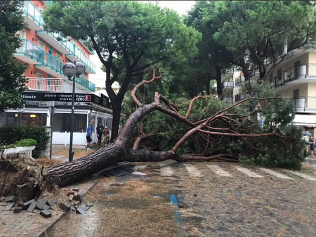 Maltempo - forti temporali su tutto il Veneto. Tromba d’aria in provincia di Rovigo : un disperso. Alberi sradicati a Jesolo