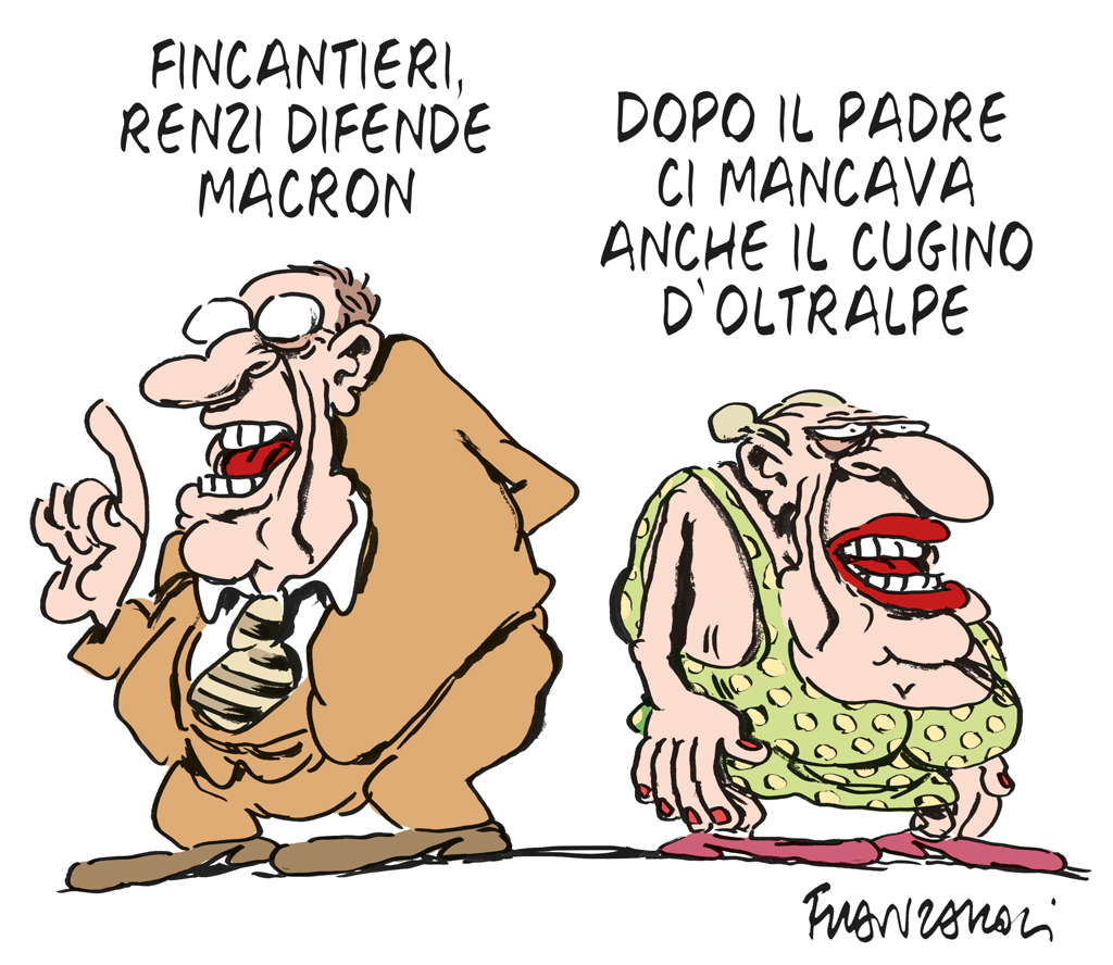 Copertina di vignetta di franzaroli