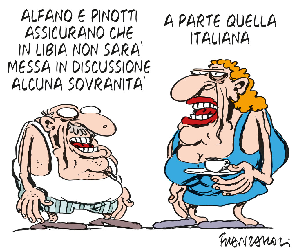 Copertina di La vignetta di Franzaroli