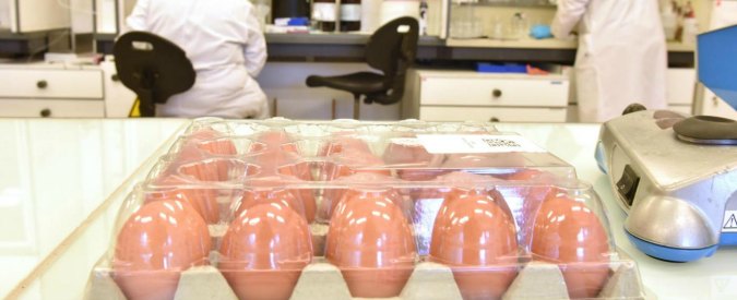 Uova contaminate, nelle Marche trovato un nuovo campione positivo al Fipronil
