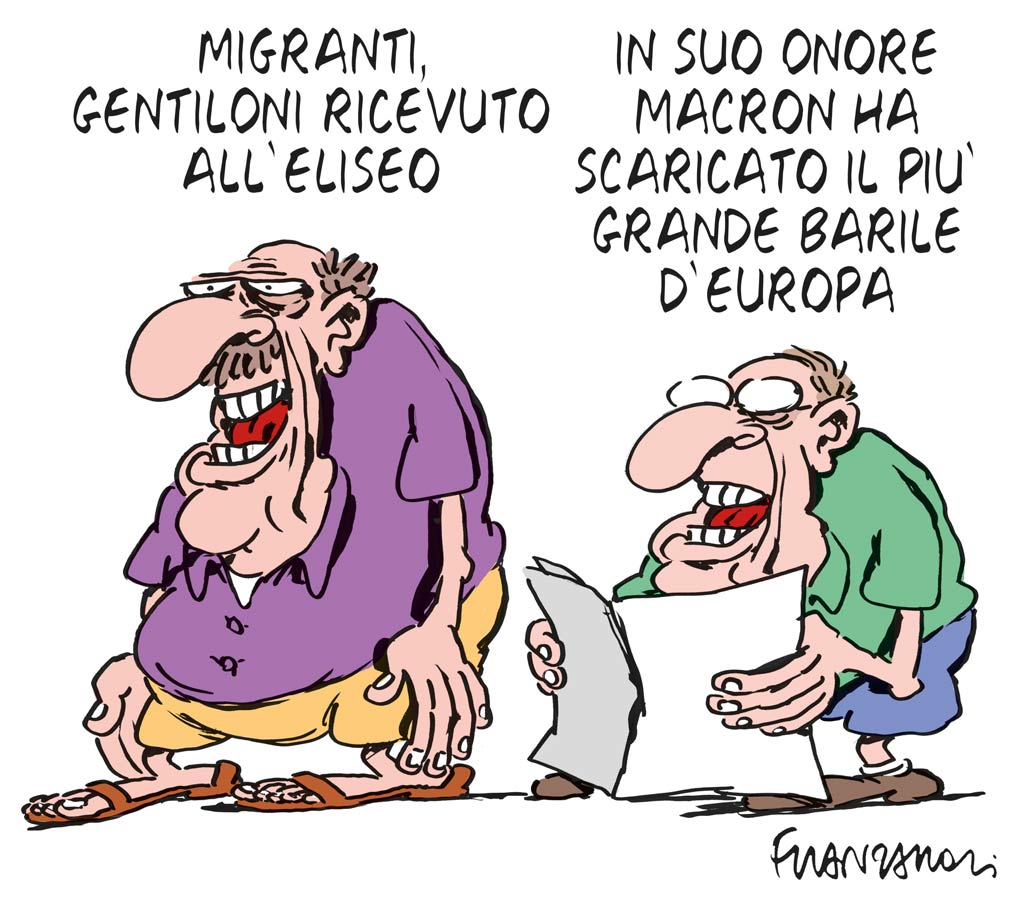 Copertina di La vignetta di Franzaroli