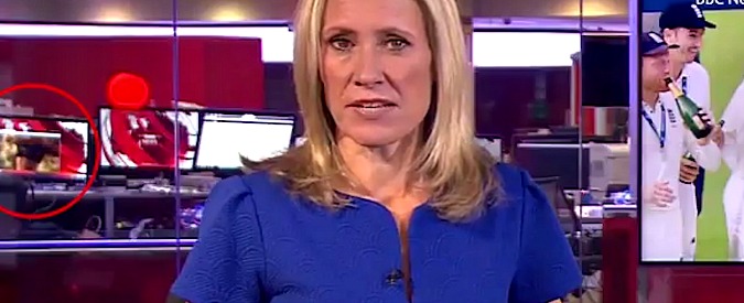 Copertina di Dal tg al sexy-tg è un attimo. L’imbarazzante fuoriprogramma va in diretta