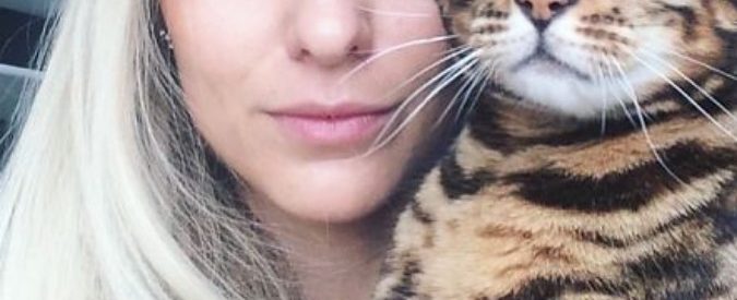 Gatti stanchi dei selfie: così i simpatici felini cercano di suggerire ai propri padroni di farla finita con gli autoscatti