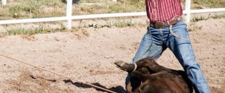 Copertina di Rodeo, l’accusa degli animalisti Usa: “Torturano e uccidono vitelli, cavalli e tori per puro divertimento”