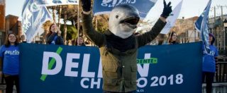 Copertina di Cile, la provocazione di Greenpeace: un delfino presidente contro la minaccia ambientale