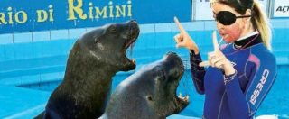 Copertina di Gessica Notaro, chiude il delfinario dove lavorava a Rimini. “Permessi abusivi”