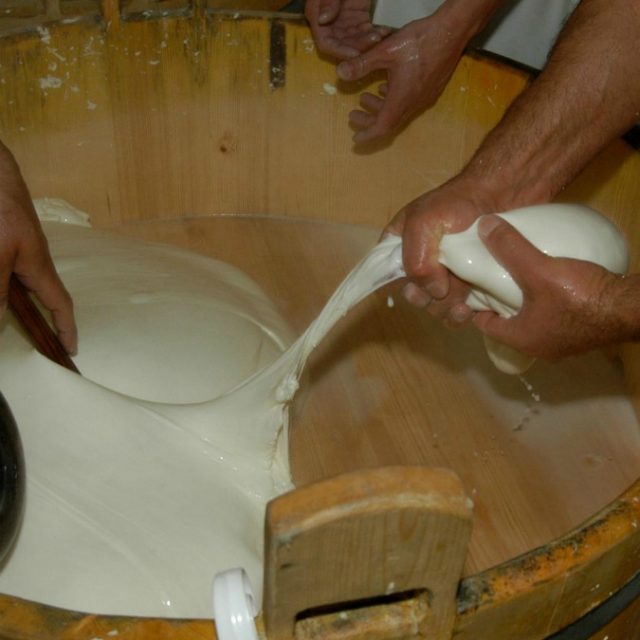 Guerra della mozzarella, il ministero dà ragione alla Puglia. Produttori campani reagiscono: ‘Ricorso al Tar’