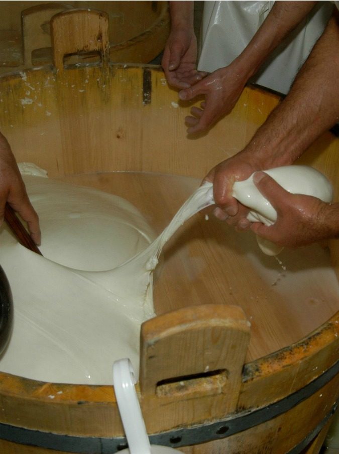 Guerra della mozzarella, il ministero dà ragione alla Puglia. Produttori campani reagiscono: ‘Ricorso al Tar’