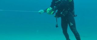 Copertina di Tap, attivisti di Sea Shepherd si immergono nel mare di San Foca: “Gasdotto non rispetta le distanze dalle specie protette”
