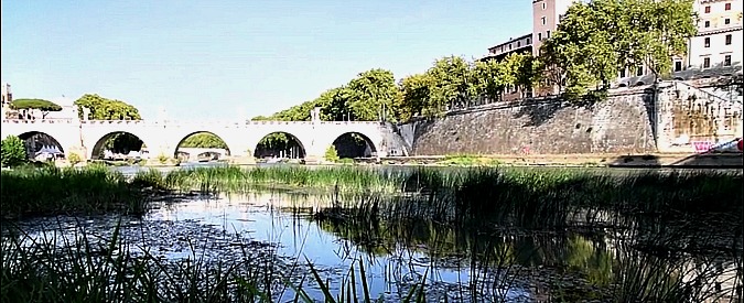 Copertina di Allerta siccità per il Tevere a Roma. Ecco come appare il fiume dopo un’estate senza pioggia