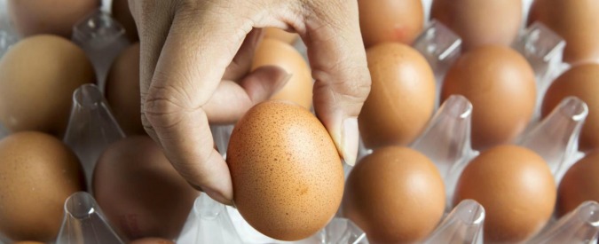 Uova contaminate con insetticida, il biologo: “Rischi solo se ingerito in grandi quantità. Anziani e bambini i più esposti”
