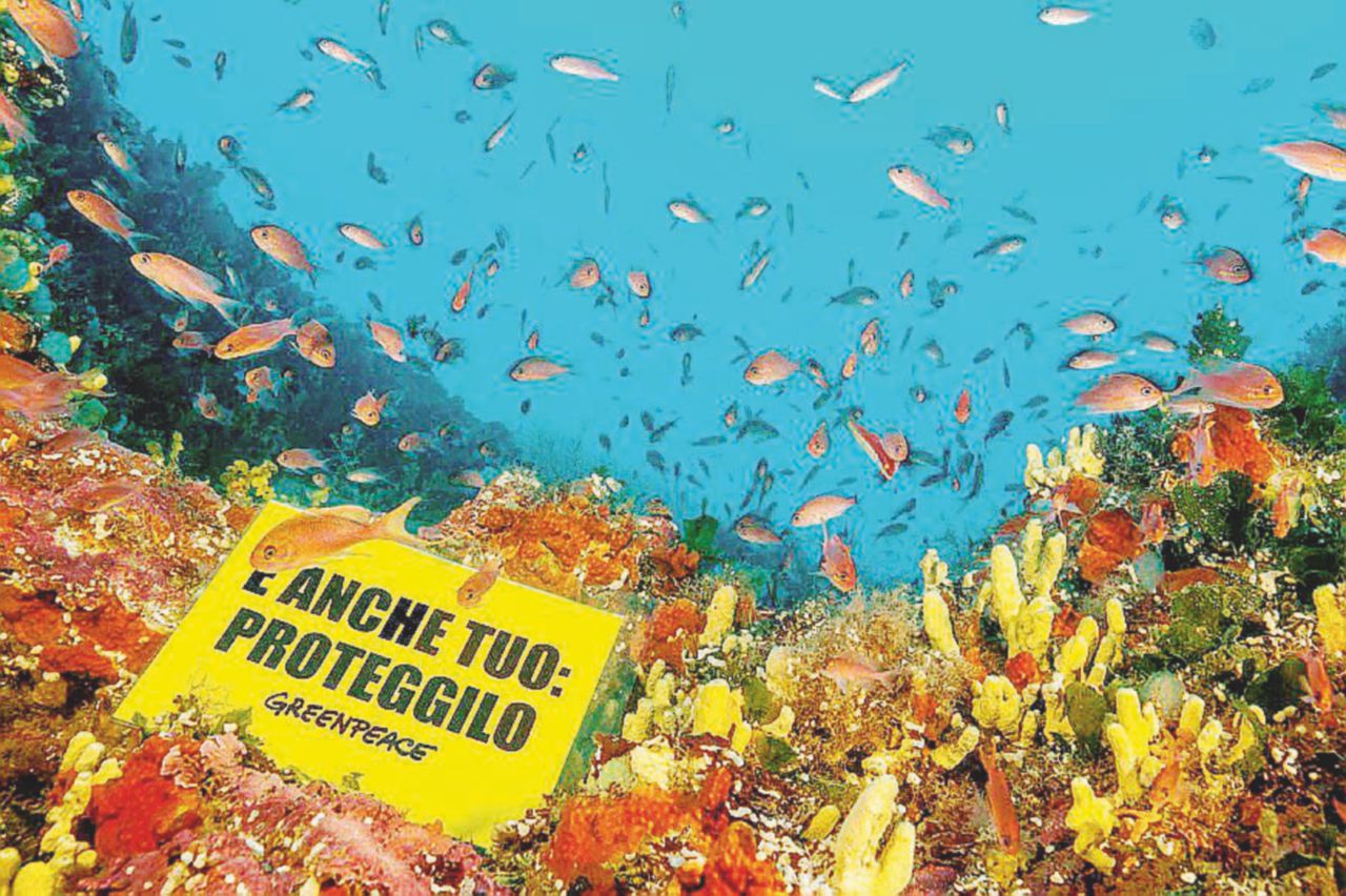 La protesta di Greenpeace contro le ricerche di petrolio - Ansa Gas e petrolio cercansi: riparte la caccia grossa al giacimento