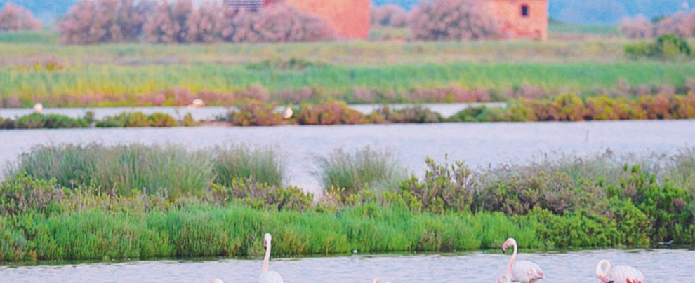 Il delta del Po - Abbozzi di racconti, in quasi tutti si torna nella natia Ferrara, qualche volta sul fiume Dario, l’ultima “fatica” di uno scrittore senza titolo tra Mulino Bianco e potere