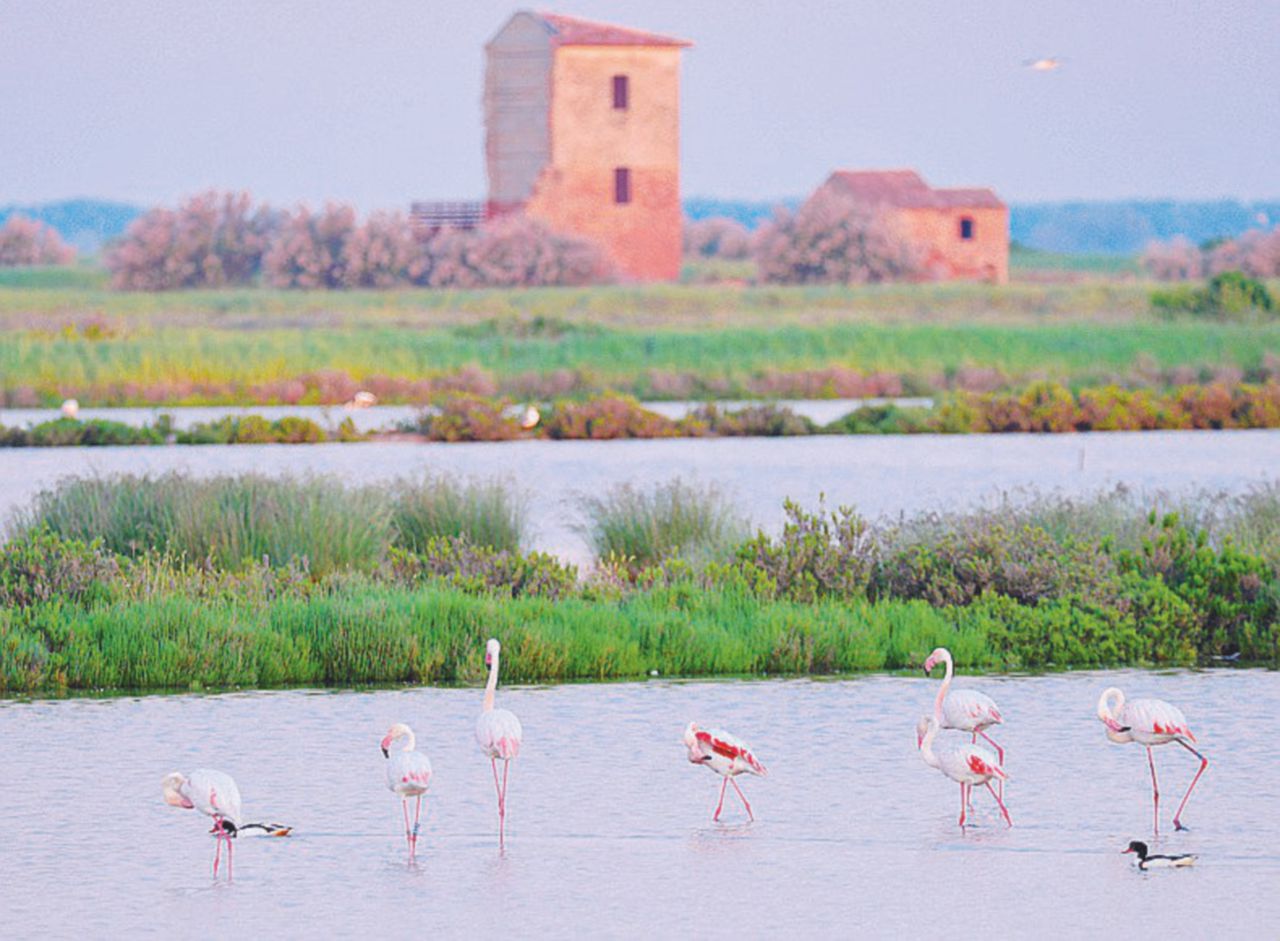Il delta del Po - Abbozzi di racconti, in quasi tutti si torna nella natia Ferrara, qualche volta sul fiume Dario, l’ultima “fatica” di uno scrittore senza titolo tra Mulino Bianco e potere