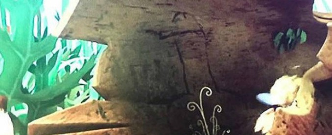 Copertina di Ape Maia osé, Netflix ritira un episodio del cartone dopo l’accusa di una mamma scrupolosa: “C’è un pene sull’albero”